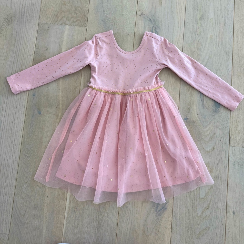 Hanna Andersson Pink Long Sleeve Tulle Dress size 4T